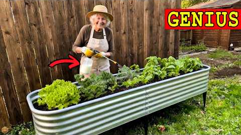 27 FREE Gardening Tricks for Seniors to Grow Bigger Harvests With Less Work