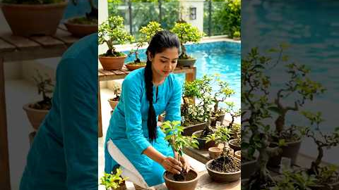 Mini Bonsai Garden at Home|plants Kingdom | #plantsgrowth #propagation#gardening #tinyplants #bonsai
