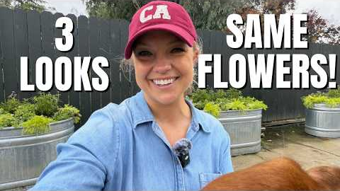 Same Recipe, Different Placement (Container Gardening Ideas!)