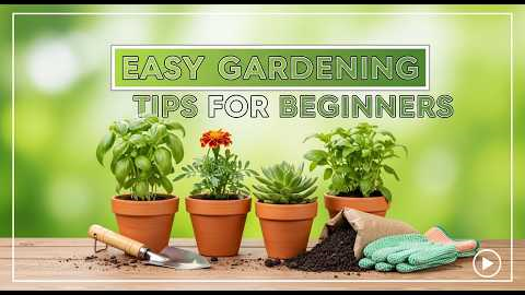 Easy Gardening Tips for Beginners