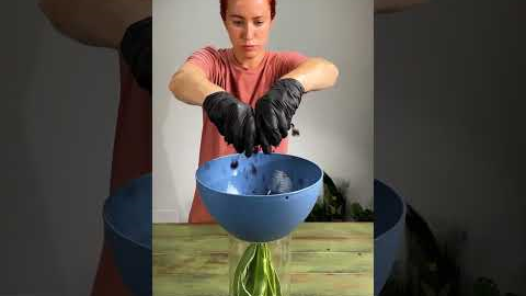 Gardening ideas for home flowers 🌸