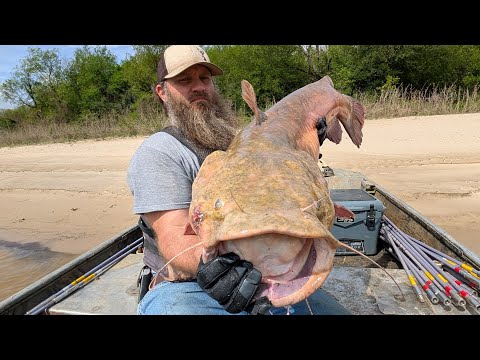 Live Cleaning Flathead Catfish, Upcoming Videos, Bank Pole Fishing, & Return Of Danielle!!!