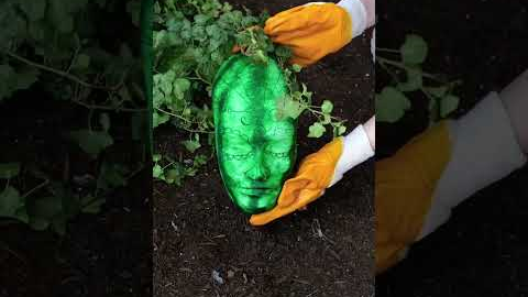 5 Crazy Gardening Hacks That Feel Like Magic! 🤯🌱