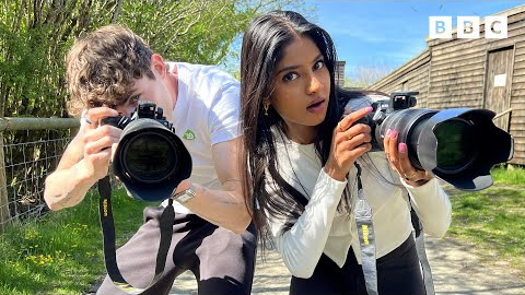 Wildlife Photography Hacks – Are You Doing These? | TOP TIPS