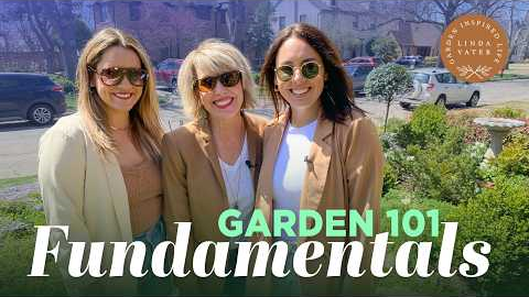 Gardening 101: Essential Fundamentals for New Gardeners | Linda Vater 🌿