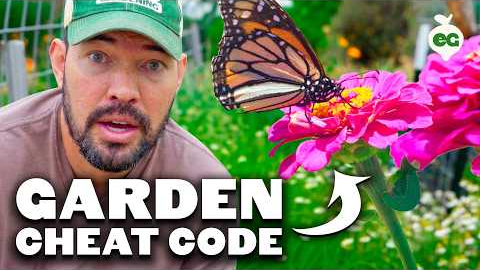 9 Flowers EVERY Vegetable Gardener Should Grow (And Why)