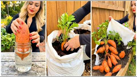 10+ DIY Garden Ideas for Growing Vegetables (Simple Home Gardening Tips)
