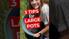 3 tips for planting large pots #greenthumb #planthack #pottedplants #plantlover  #planttherapy