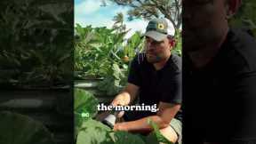 Stop Believing These Watering Myths