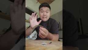 The Free Rig Masterclass 🇰🇷 #bassfishing