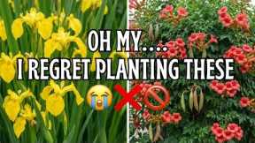 Don’t Make My Mistake: 9 Flowers I Regret Planting as a Seasoned Gardener.