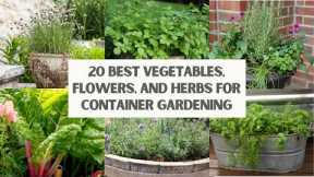 20 BEST Vegetables, Flowers, and Herbs for CONTAINER GARDENING