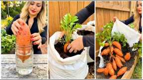 10+ DIY Garden Ideas for Growing Vegetables (Simple Home Gardening Tips)