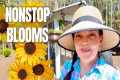 Plant This Combo for NONSTOP Blooms + 