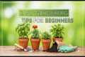 Easy Gardening Tips for Beginners
