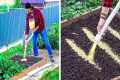 🌼 GARDENING MAGIC: Easy Hacks for