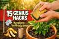 15 Genius Gardening Hacks Using Items 