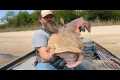 Live Cleaning Flathead Catfish,