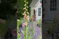 Beautiful Cottage Garden Tour!! See