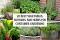 20 BEST Vegetables, Flowers, and
