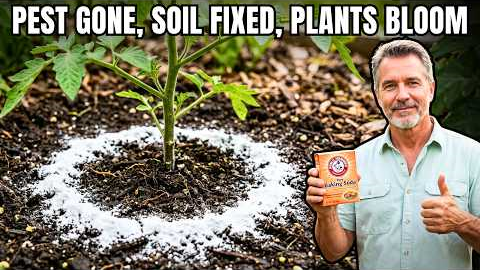 How to Use BAKING SODA in the Garden: 9 Powerful Tips for Healthy Plants & Pest-Free Growth!