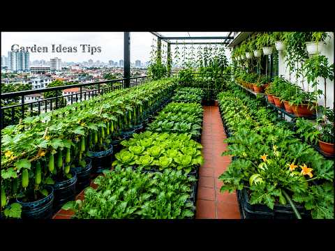 🔴TIPS Balcony Gardening Ideas Using Recycled Materials | Balcony Gardening Secrets for Beginners