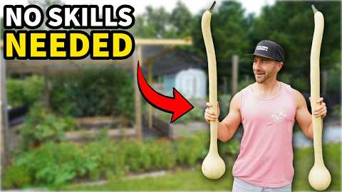 5 EASY Plants Make NEW GARDENERS Look Like Pros [Especially #5!]