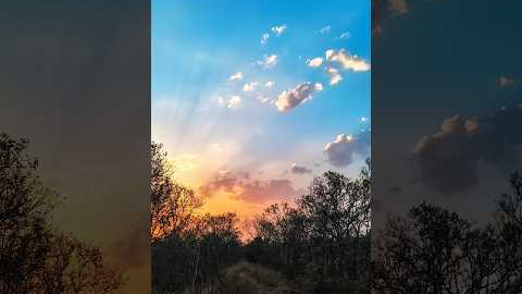 Creative Photography I Tips & Tricks with Phone using Pro Mode 📸 I Mobile Photography Hacks🔥