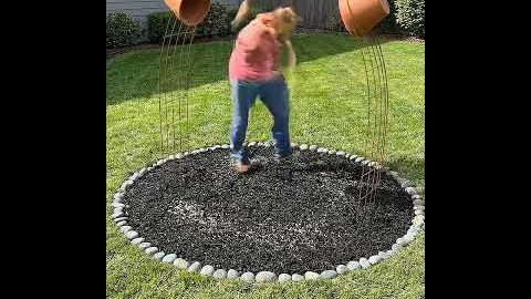 Insane Garden Hack: Make Your Flowers Look Like Water!