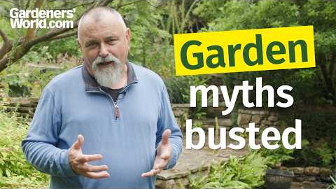 Common gardening MISTAKES even experienced gardeners make