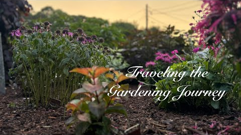 Top 5 Gardening Lessons I Wish I Knew Sooner 🌿🌺Ep94