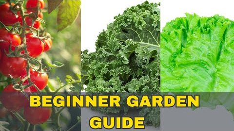 Easy HOME Gardening for Beginners Now | Gardening Tips | Golden Garden Living