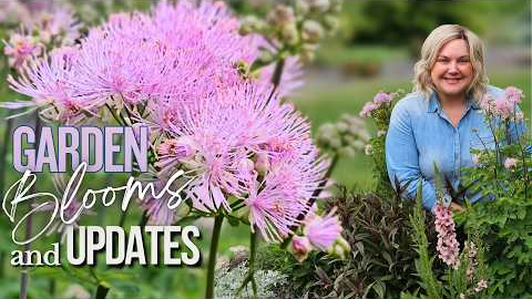 So Much Change in Just a Few Weeks! Garden Update