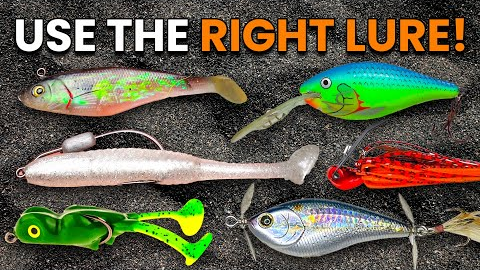 Ultimate Beginner Fishing Lure Guide (When & How To Use Lures)