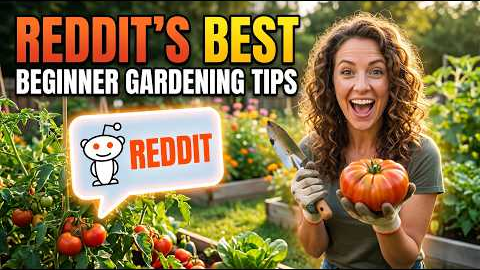 Reddit’s Best Beginner Gardening Tips