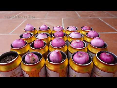 🔴Useful Tips & Tricks Urban Gardening Recycled Materials | Vegetable Growing Ideas for Beginners