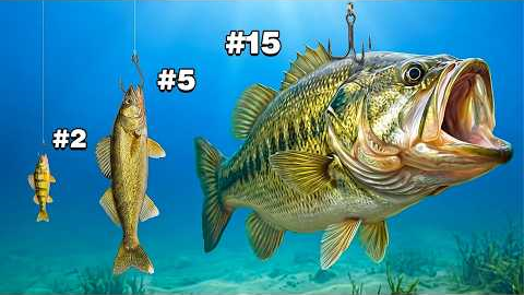 Every Fish I Catch Becomes My Bait!