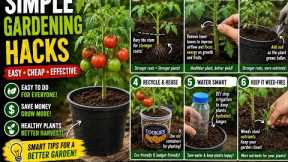 Simple Backyard Gardening Hacks Everyone Should Know 🌱🍅