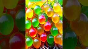 easy and fast techniques for propagating and growing goldenberry fruit trees #garden #fruits