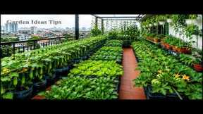 🔴TIPS Balcony Gardening Ideas Using Recycled Materials | Balcony Gardening Secrets for Beginners