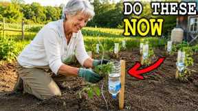 10 Essential Gardening Tips to Plant & Grow in May – Don’t Miss These!