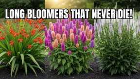 15 Best LONGEST Blooming Perennial Flowers 🌼 Rare Perennials for Nonstop Color Until Frost