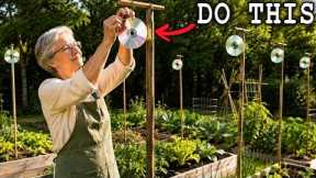 40 Must-Do Garden Tips in May That Will Double Your Harvest This Year