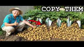 50 Easy Grandparents Vegetable Gardening Hacks You'll Wish You Knew Sooner