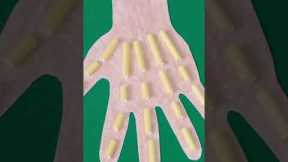 Easy and Fun Paper Hand Activity for Kids! 🤚 #shorts #kidsactivities