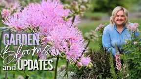 So Much Change in Just a Few Weeks! Garden Update