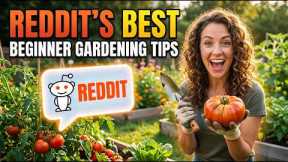 Reddit’s Best Beginner Gardening Tips