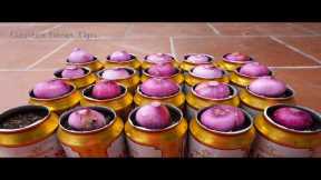 🔴Useful Tips & Tricks Urban Gardening Recycled Materials | Vegetable Growing Ideas for Beginners