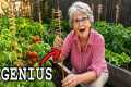 25 Smart Gardening Hacks Grandma Used 