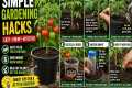 Simple Backyard Gardening Hacks